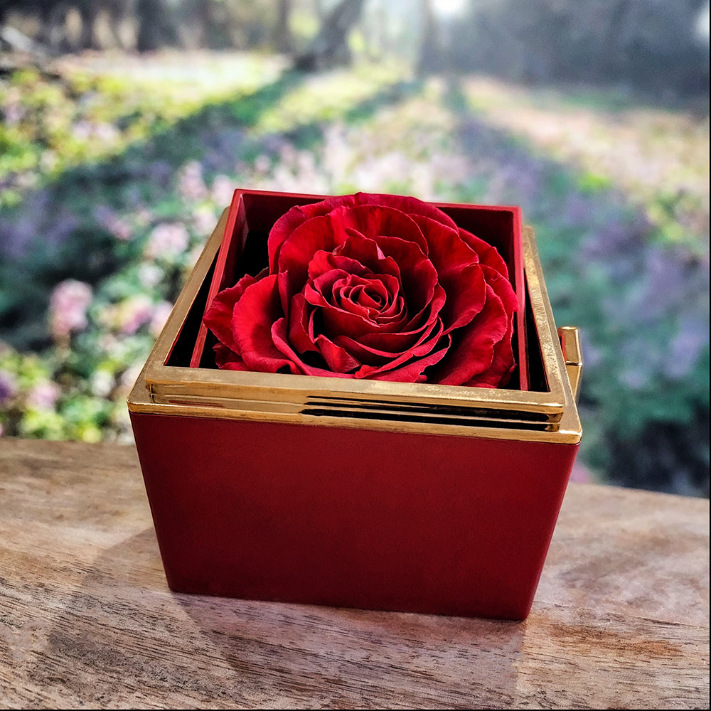 I Love You Mom Mother's Day Gift Love Knot Necklace with Preserved Red Rose