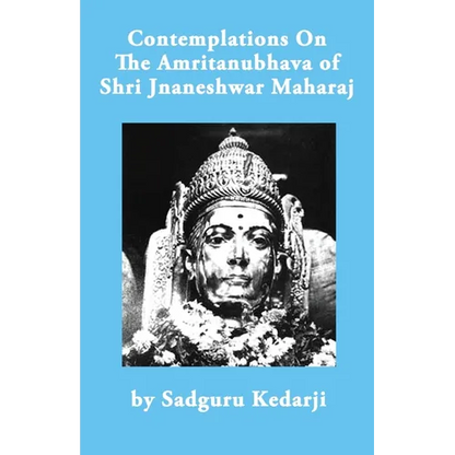 Contemplations On The Amritanubhava of Shri Jnaneshwar Maharaj - Paperback