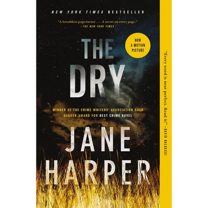 The Dry - Paperback