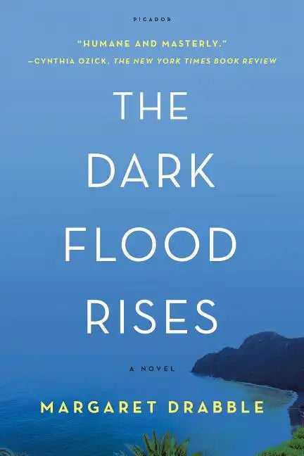 Dark Flood Rises - Paperback