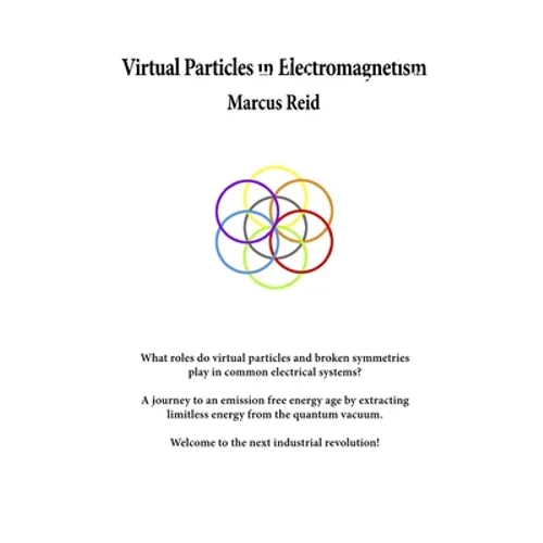 Virtual Particles in Electromagnetism - Paperback