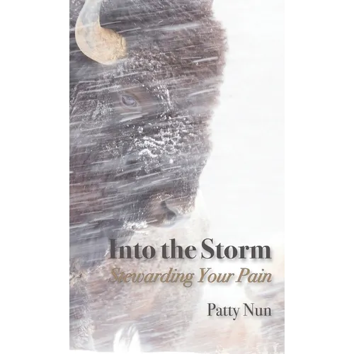 Into The Storm: Stewarding Your Pain - Paperback