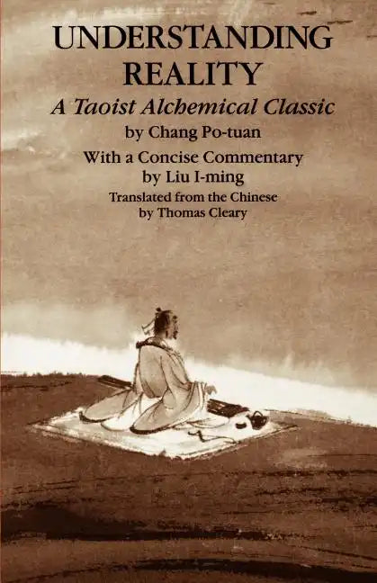 Understanding Reality - Paperback
