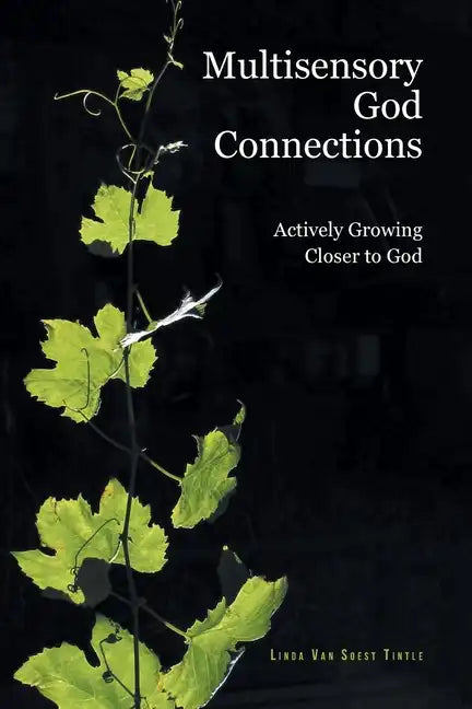 Multisensory God Connections: Actively Growing Closer to God - Paperback