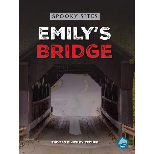 Emily's Bridge - Hardcover