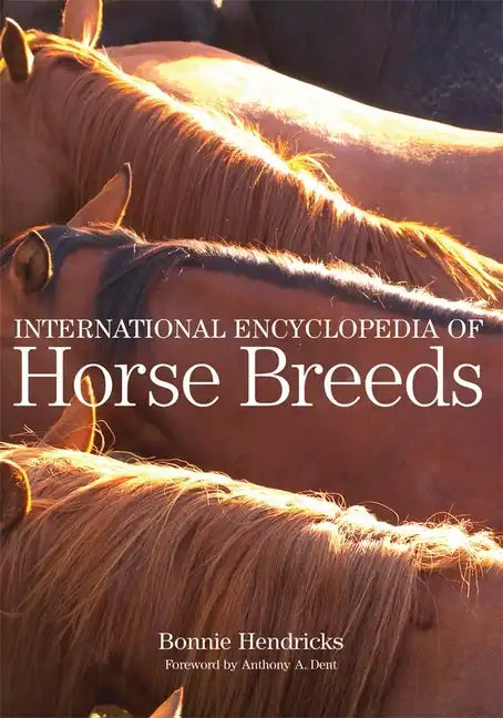 International Encyclopedia of Horse Breeds - Paperback