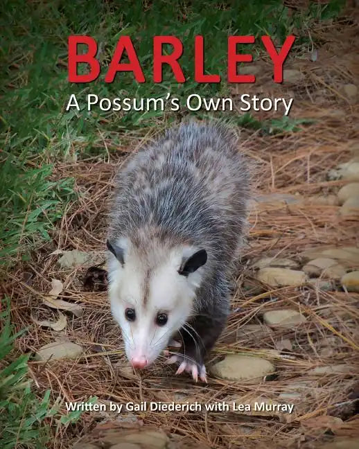 Barley, a Possum's Own Story - Paperback