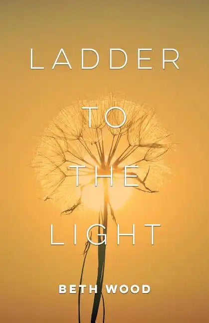 Ladder to the Light - Paperback