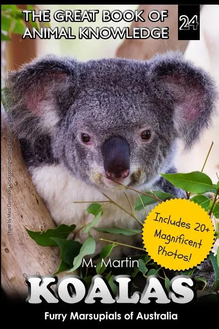 Koalas: Furry Marsupials of Australia - Paperback