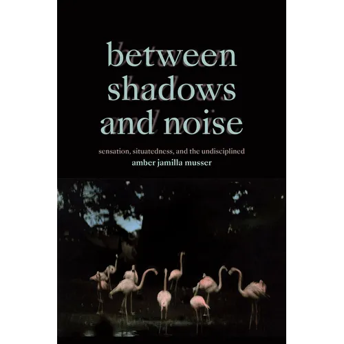 Between Shadows and Noise: Sensation, Situatedness, and the Undisciplined - Paperback
