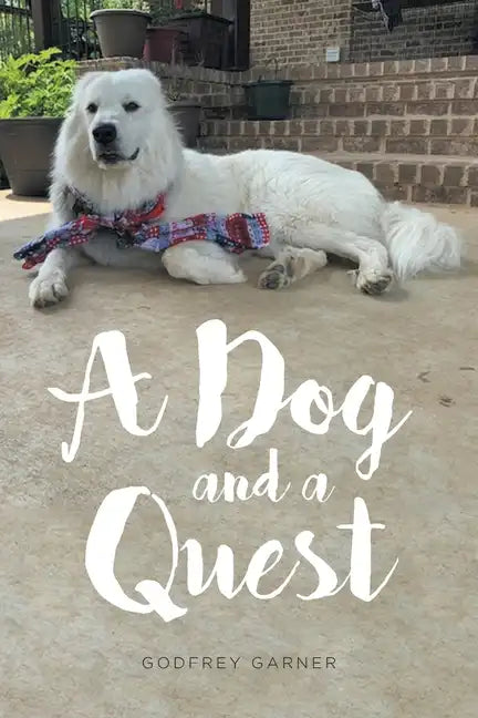 A Dog and a Quest - Paperback