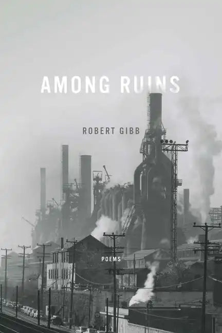 Among Ruins - Paperback