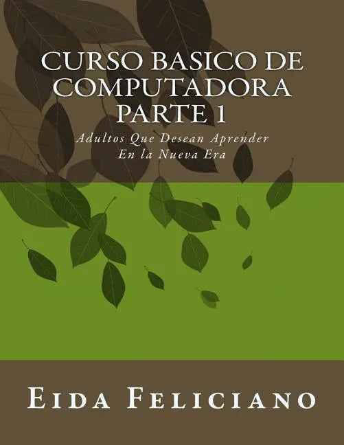 Curso Basico De Computadora: Para Adultos Con Deseos De Aprender - Paperback