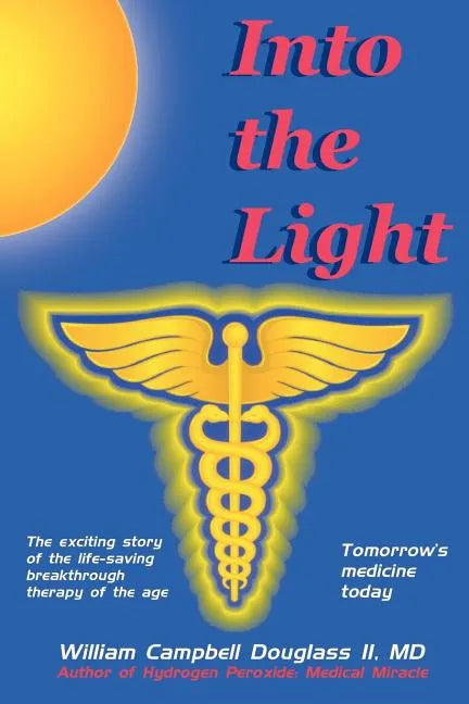 Into the Light - Paperback