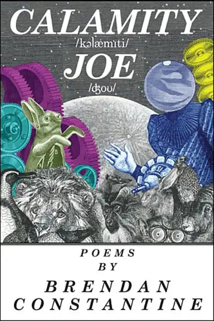 Calamity Joe - Paperback
