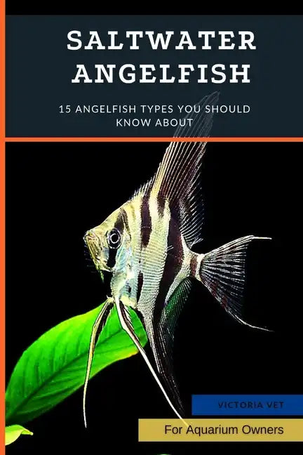 Saltwater Angelfish: 15 Angelfish Types You Should Know About - Paperback