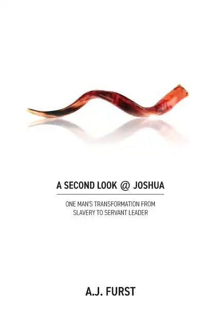 A Second Look @ Joshua - Paperback