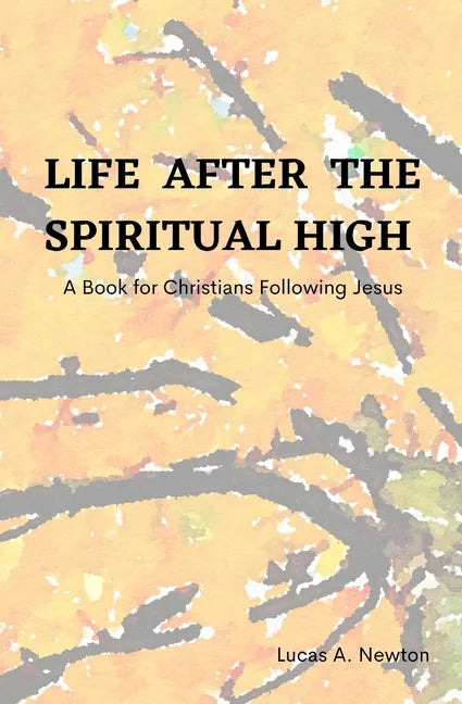 Life After the Spiritual High: A Book for Christians Following Jesus - Paperback
