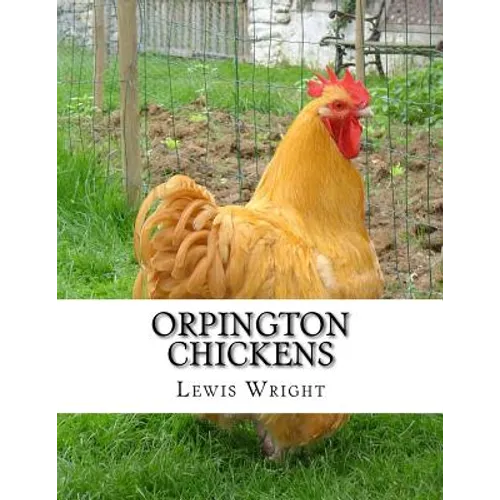 Orpington Chickens: From The Book of Poultry - Paperback