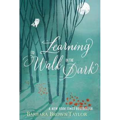 Learning to Walk in the Dark: Because Sometimes God Shows Up at Night - Paperback
