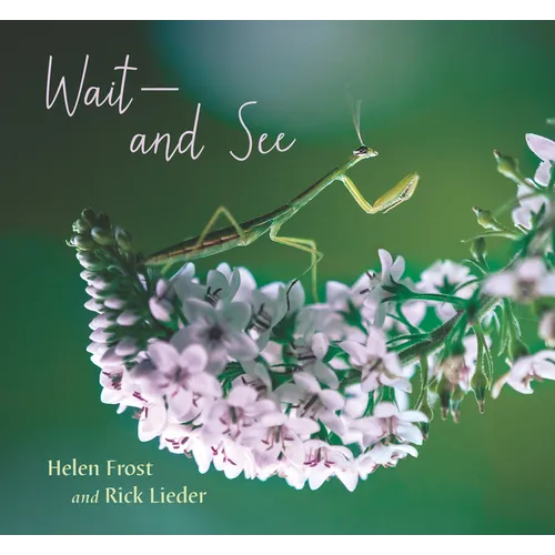 Wait and See - Hardcover