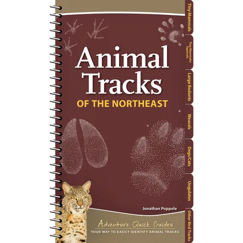 Animal Tracks of the Northeast: Your Way to Easily Identify Animal Tracks - Spiral