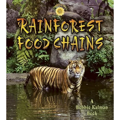 Rainforest Food Chains - Paperback