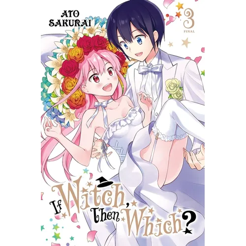 If Witch, Then Which?, Vol. 3 - Paperback