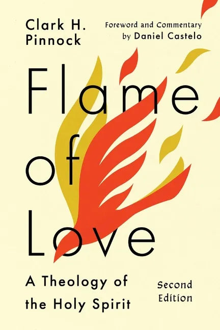Flame of Love: Three Views on the Destiny of the Unevangelized - Paperback