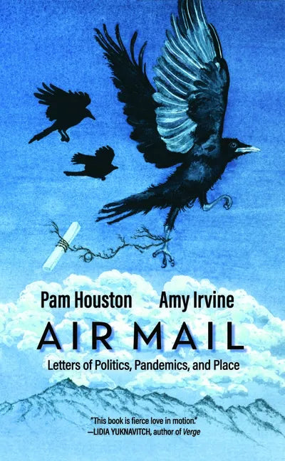 Air Mail: Letters of Politics, Pandemics, and Place - Paperback