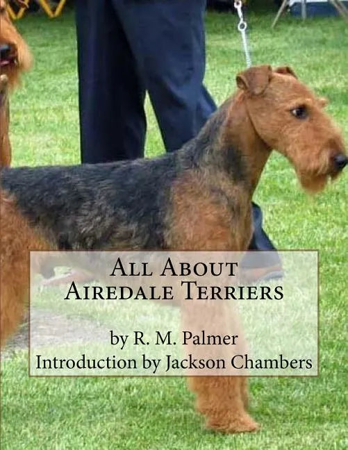 All About Airedale Terriers - Paperback
