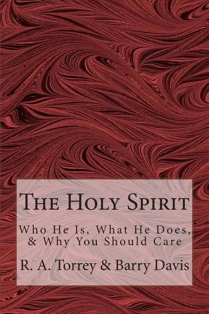 The Holy Spirit: Who He Is, What He Does, & Why You Should Care - Paperback