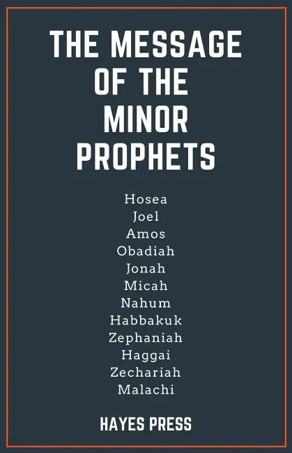 The Message of the Minor Prophets - Paperback