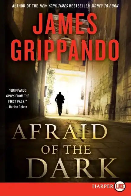 Afraid of the Dark: A Novel of Suspense - Paperback