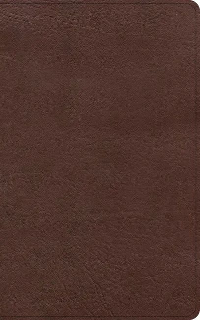 KJV Single-Column Personal Size Bible, Brown Leathertouch - Imitation Leather