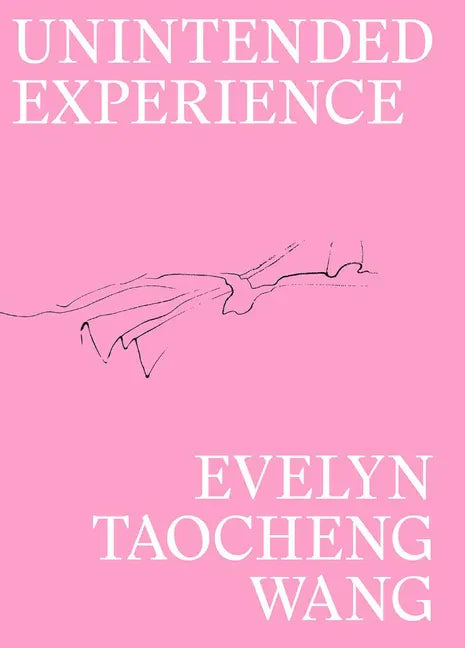 Evelyn Taocheng Wang: Unintended Experience: A Job in Amsterdam - Paperback