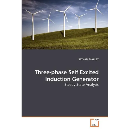 Three-phase Self Excited Induction Generator - Paperback