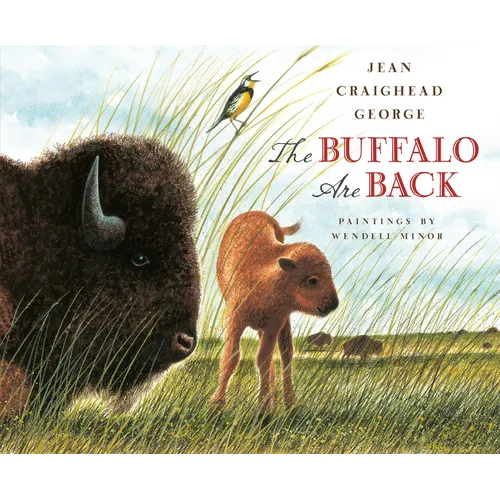 The Buffalo Are Back - Hardcover