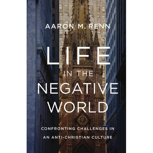 Life in the Negative World: Confronting Challenges in an Anti-Christian Culture - Hardcover
