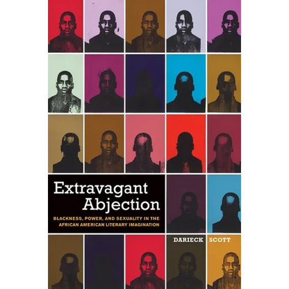 Extravagant Abjection: Blackness, Power, and Sexuality in the African American Literary Imagination - Hardcover