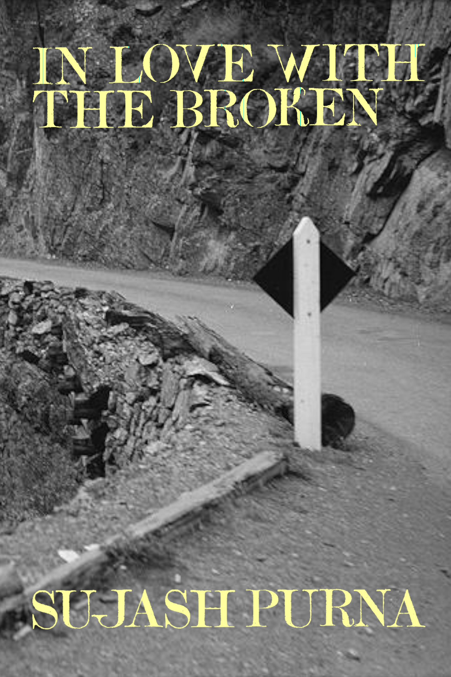 In Love with the Broken, by Sujash Purna