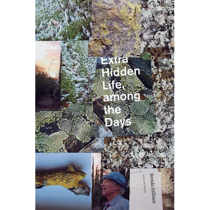 Extra Hidden Life, Among the Days - Paperback