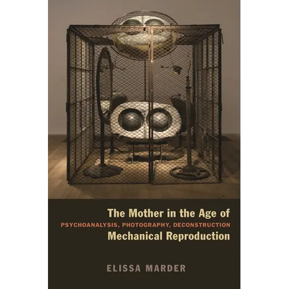 The Mother in the Age of Mechanical Reproduction: Psychoanalysis, Photography, Deconstruction - Hardcover