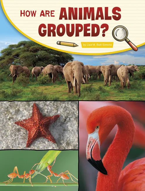 How Are Animals Grouped? - Hardcover