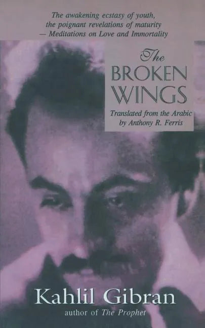The Broken Wings - Paperback