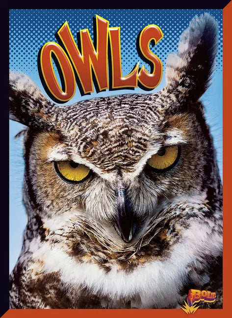 Owls - Paperback