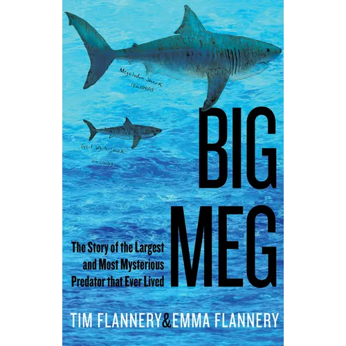 Big Meg: The Story of the Largest and Most Mysterious Predator That Ever Lived - Hardcover