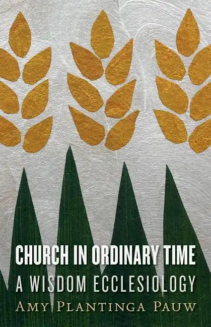 Church in Ordinary Time: A Wisdom Ecclesiology - Paperback