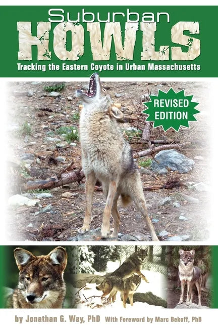 Suburban Howls: Tracking the Eastern Coyote in Urban Massachusetts - Paperback