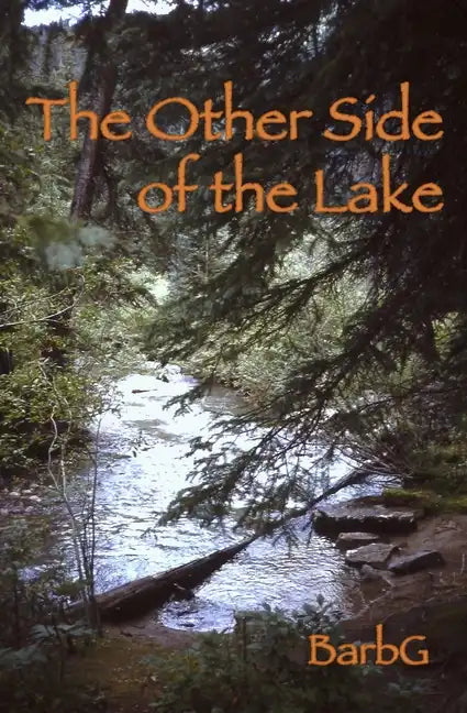 The Other Side of the Lake - Paperback